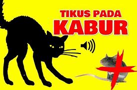 Free Download Mp3 Suara Jangkrik Pengusir Tikus